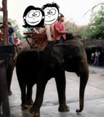 Update from Steve and Steph